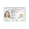 Buy Mexican ID Cards online