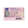 Buy Dutch Driver’s License online