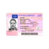 Buy Finnish Driver’s License online